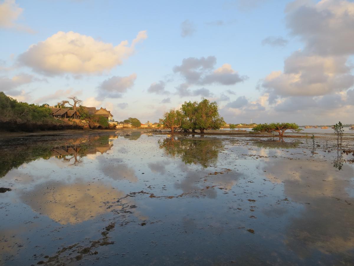 Wasini Island Bandas المظهر الخارجي الصورة